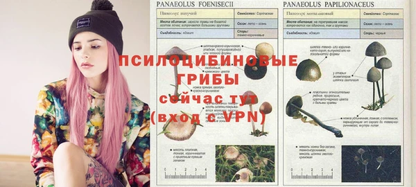 а пвп мука Верхний Тагил