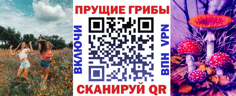Купить где  Костерёво  Псилоцибиновые грибы Psilocybe 